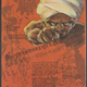 This poster recalls pivotal moments in the subcontinent’s history and highlights the failings of the British in India.